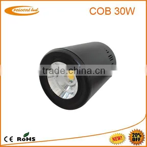 High Power Smd/cob Led Ceiling Light/ Cob Led Downlight 30w thumbnail-5