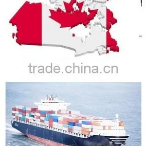 International Ocean Freight Ningbo to Toronto/canada thumbnail-1