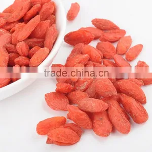 Organic Goji Berry Red Goji(Medlar) Wolfberry Jinghe Goji Berries thumbnail-3