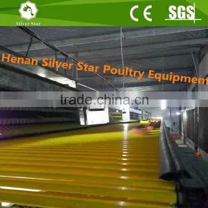Manufacture Best Price Automatic Egg Collecting Equipment System thumbnail-4