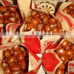 The Most Delicious Fresh Chinese Chestnut thumbnail-5