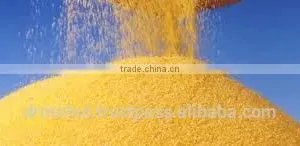 Corn Grits thumbnail-6
