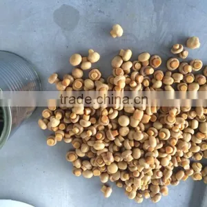 Canned Mushroom Whole in Brine 425g Choice Quality thumbnail-4
