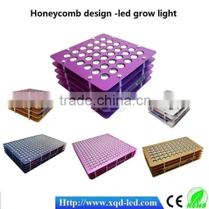 XQD Led Grow Light Full Spectrum 600w Grow Light Hydroponic thumbnail-5