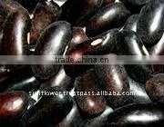 Dark Purple Kidney Beans - Long Shape thumbnail-1
