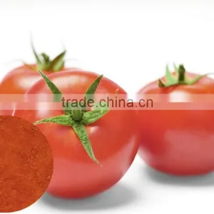 High Quality Dehydrated Tomato Powder thumbnail-1