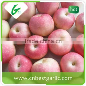 Chinese Grade A Fresh Royal Gala Apple thumbnail-6