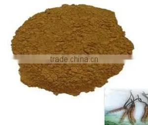 Cordyceps Sinensis Extract thumbnail-1