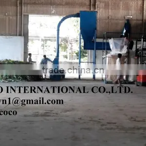 Corn Silage thumbnail-4