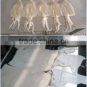 Industrial Automatic Squid Fish Skinning Skinner Machine thumbnail-6