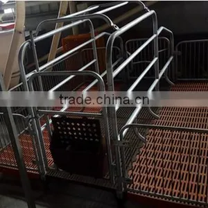 Equipment For Poultry Farms Farrowing Crates For Pigs For Sale thumbnail-4