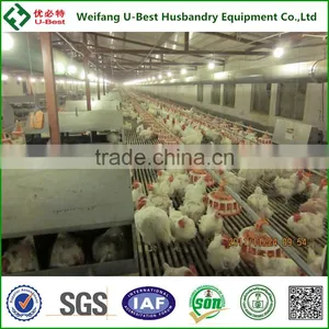 U-BEST Full Automatic Poultry Equipment for Breeder Chicken thumbnail-4
