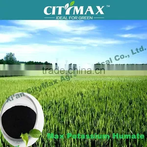 High Soluble Potassium Humate Organic Fertilizer thumbnail-1