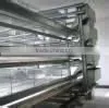 China Sell Automatic Quail Cage for Africa Market thumbnail-4