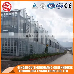 China Products Wholesale Greenhouse Glass Greenhouse for Sale thumbnail-4