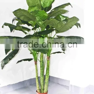 Oramental Green Bonsais thumbnail-6