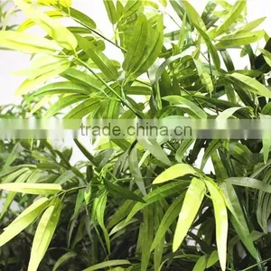 Home Garden Dry Decoration 250cm Height Artificial Outdoor Green Lucky Bamboo EZZ06 0201 thumbnail-2