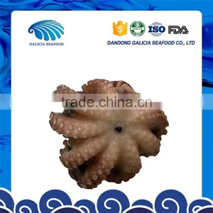 Frozen Variety Octopus Flower Type for Sale From Factory thumbnail-1