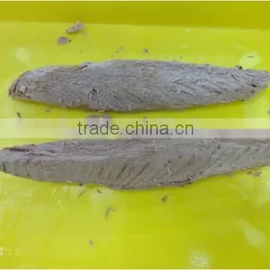 Frozen Precooked Skipjack Tuna Loin thumbnail-1