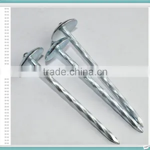 E.G. Umbrella Head Roofing Nails With Low Price From China thumbnail-1