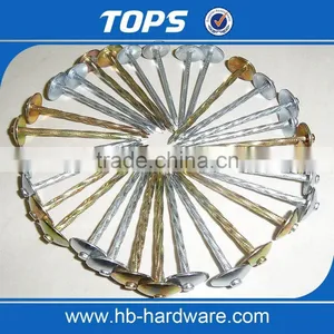 Galvanized Umbrella Head Roofing Nails With Best Price thumbnail-3