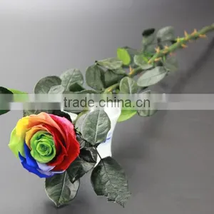 Fresh Preserved Flowers Roses With Long Stem In Gift thumbnail-6