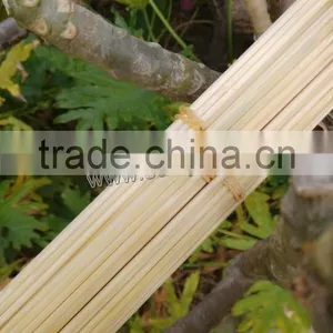 Bamboo Sticks for Plant and Flower thumbnail-1
