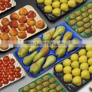 Food Grade Recycle Disposable Rectangular Tomato Plastic Container thumbnail-4