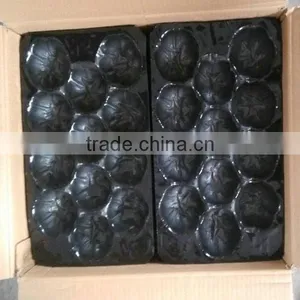 Made in China Disposable Plastic Fruit Tray thumbnail-1