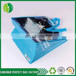 Customize Cheap Price Eco-Friendly And Heavy Duty Non Woven Reusable Printing Shopping Bag thumbnail-3