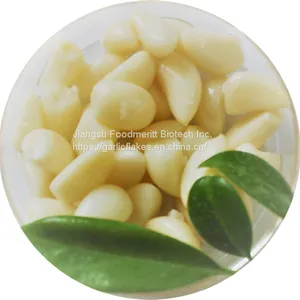 Good Quality Dehydrated Garlic Granules From China With KOSHER Certificated thumbnail-5
