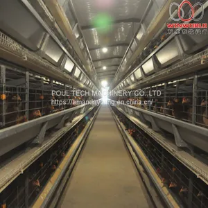 Ecuador Poultry Farm - Battery Chicken Cage & Poultry Cage & Small Layer Cage Used in Brooding Room thumbnail-1