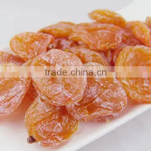 Good Taste Organic Dried Apricot thumbnail-1