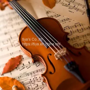 High Quality Antique Style Nice Flamed Ebony Parts Student Violin thumbnail-3