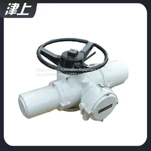 Rotary Electric Actuator IQC20 Solar Control thumbnail-2