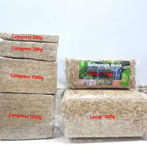 Natural Dried Sphagaum Moss Garden Supplies Moisturizing Nutrition Organic Fertilizer For Butterfly Orchid Flowerpot Decoration thumbnail-4