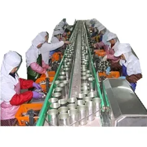 Commercial Canned Sardine in Tomato Sauce Processing Line thumbnail-5