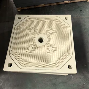 High Quality Polypropylene Filter Press Plate, Durable Structural Panel for Industrial Solid-liquid Separation and Wastewater Treatment thumbnail-2