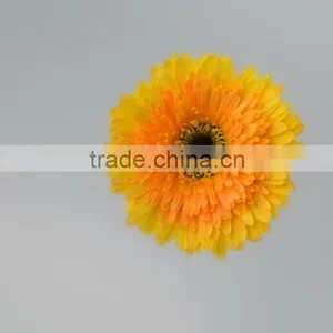 Color Champagne Pure Yellow Gerberas thumbnail-5