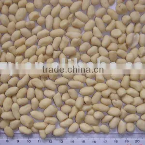 Round Groundnut thumbnail-1