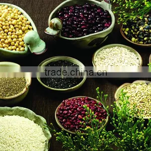 Ground Coffee Packing Machine,1-1000g Quantitative Intelligent Powder Package Machine thumbnail-5