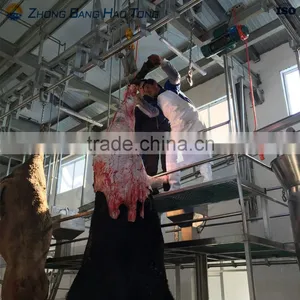 Cattle Hoof Removal Platform thumbnail-2