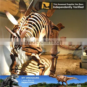 MY Dino-C076 Museum Educational Flexible Skeleton thumbnail-5