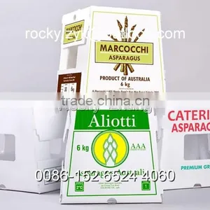 Best Corrugated Plastic Package Box for Banana Packing Carton thumbnail-3