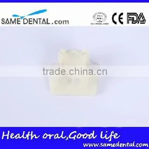 Sinus Lift Practice Model Dental Eduction Assitant No. DEA-23 thumbnail-4