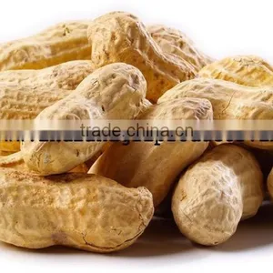 Peanut Exporter thumbnail-1
