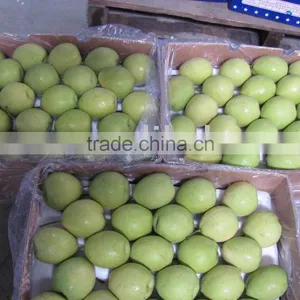 Shandong Pear thumbnail-1