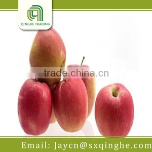 Fresh Organic Fiji Apple Fruit Packing thumbnail-1