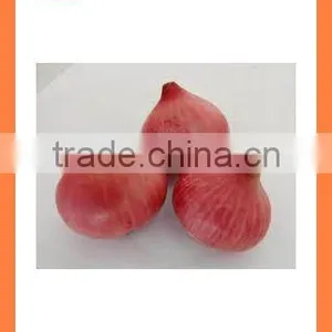 Fresh New Crop Red Onion PRODUCTS From China thumbnail-6