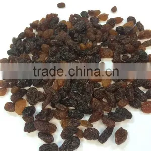 Normal Size New Crop Dried Sultana Raisins Cheap Price thumbnail-1